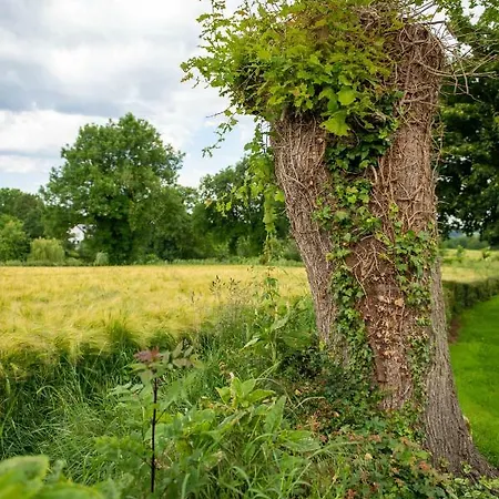 Vakantiehuis Vijlen * Vijlen